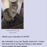 motivation to lift