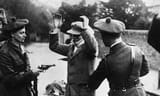 black-and-tans-search-sin-008