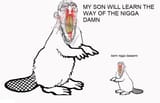 Dam nigga