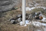 dead ukrop tied to a post