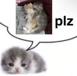 please3