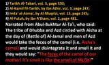 muzshits loving on camel poopy