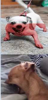 how it started vs how its going