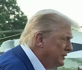 hair