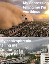 doge_depression_vs_schizophrenia