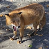 2025420_130650_1_1