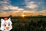 awoo morning4