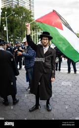 jew wave with palestinian flag