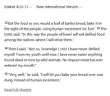 christian_bible_poo_food