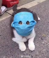 1608501078174