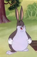 bz6w2a9w7i6d1_jpg
