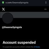 Deanna Spingola Elon Musk suspended accpunt