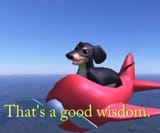 16539677 dog of wisdom