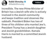 dildo_rabbi