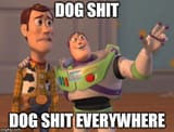 dog shit everywhere