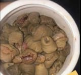 calamari-bucket