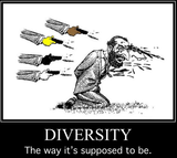tkd diversity