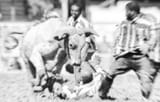 Running-of-the-Bulls-Angola