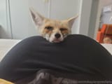 tfw-when