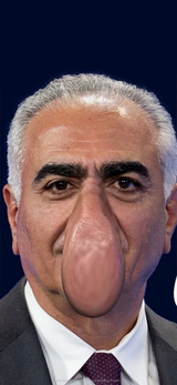 nose
