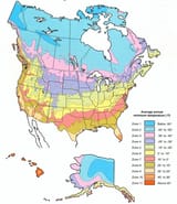 north_america_77c0ebd6e9