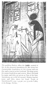 egyptian adameve