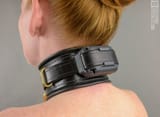 shock collar