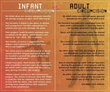 infant vs adult circumcision