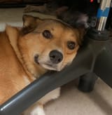 KoRuPtIoN