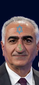 ziofaggotshah