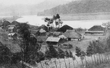 Kotan