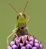 1746490626821097