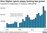 _106598597_afghan_opium_chart-nc