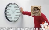 caturday time