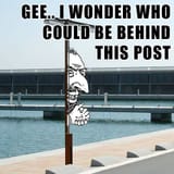 g86