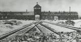 poison gas 