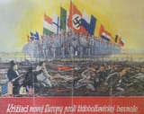 Reich-894