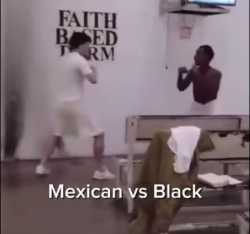 Mexican vs black_thumb.jpg