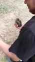 hungry_sonic__thumb.jpg
