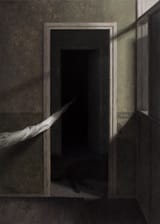 Dragan Bibin - Pull