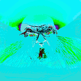 1736017533369315