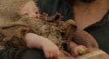 Noah.2014 3
