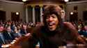 1725539478314146216-video_02bff71b8bd8bd6f6796e0589613734f_288078080522080260_thumb.jpg