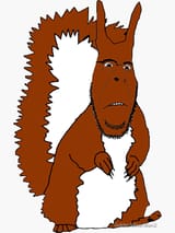 squirreljak