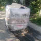 freedom of speech
