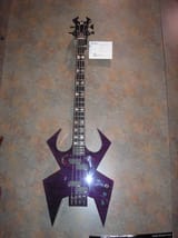 bcrichspider