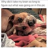 Brain_Glitch