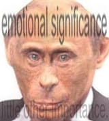 emotional significance monke