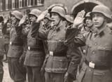 DUTCH-WAFFEN-SS