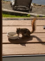PXL_20250624_214613206